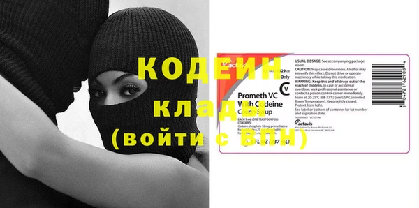 индика Инта