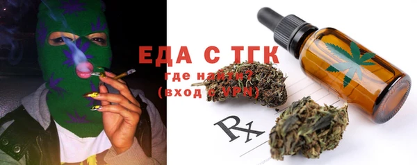 индика Инта