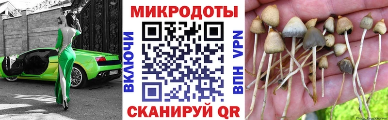 Купить  Гусь-Хрустальный  Галлюциногенные грибы прущие грибы 